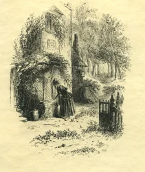 デビッドカッパーフィールド-繁殖地